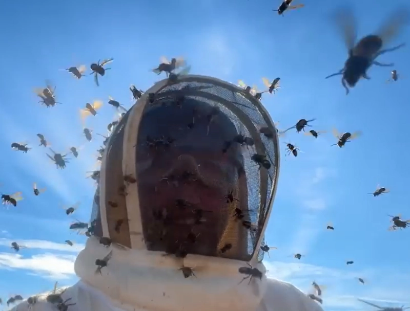 Etienne en formation terrain
